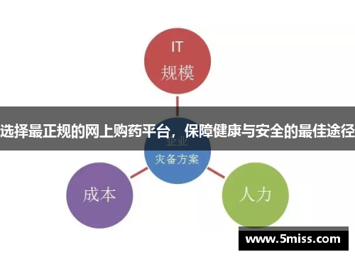 选择最正规的网上购药平台，保障健康与安全的最佳途径