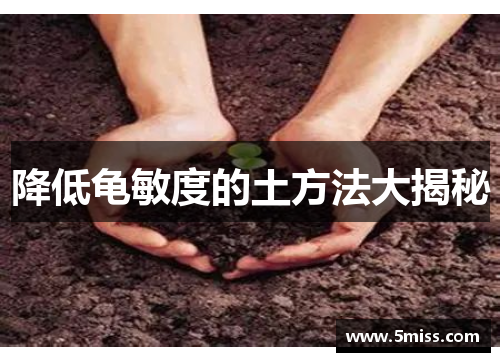降低龟敏度的土方法大揭秘